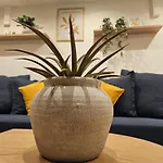 Cozy Downtown Apartment